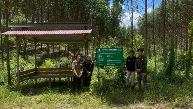 Belajar Rehabilitasi Hutan dari Lapangan: Pengalaman Magang di PT Tectona Alas Makmur
